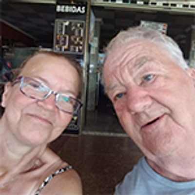 🔥Last Day 50% OFF🔥Realistic UV-Resistant Outdoor Flowers – Zero Maintenance