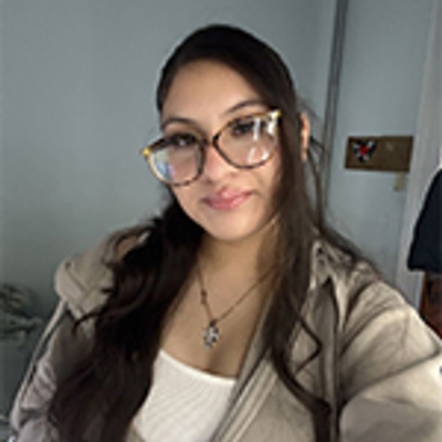 🔥Last Day 50% OFF🔥Realistic UV-Resistant Outdoor Flowers – Zero Maintenance