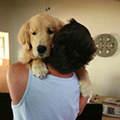 🔥LAST DAY 50% OFF✨ Multi-functional Support Anti-Slip pad