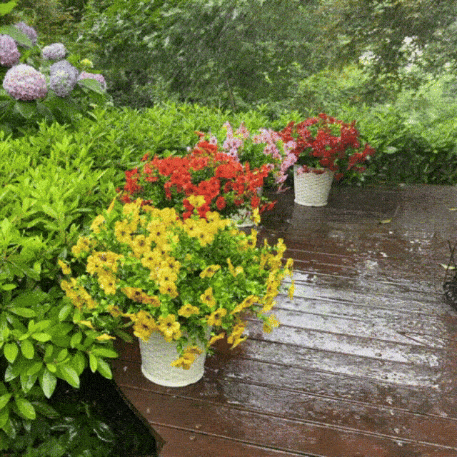 🔥Last Day 50% OFF🔥Realistic UV-Resistant Outdoor Flowers – Zero Maintenance