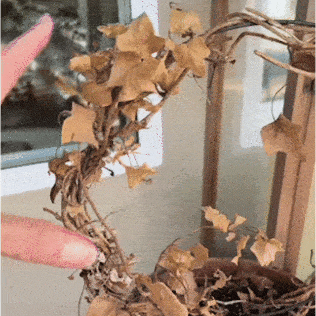 🔥Last Day 50% OFF🔥Realistic UV-Resistant Outdoor Flowers – Zero Maintenance